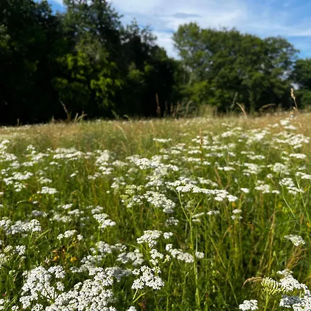 No 10 Vic Fezensac Feriehus *